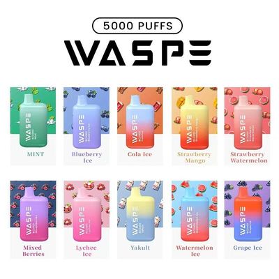 Waspe 5000Puffs E Cigarette Vapor à usage unique 13ml 2%/3%/5% Nic 650mah Rechargeable