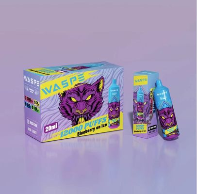 Vape 12000 Puff Rechargeable Disposable Vape Fruit Arôme E Cig OEM Disponible