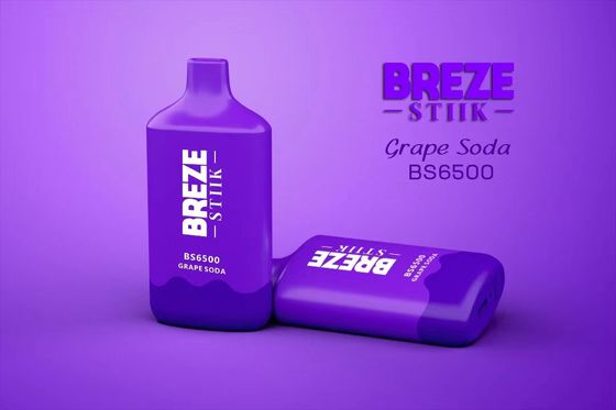 BREZE BS6500 Vapor jetable Grand bouffon 15 ml Jus pré-rempli 500 mAh Batterie