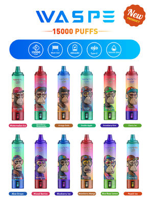 Vape personnalisé de 22 ml SUS304 avec 12 saveurs fruitées 15000 puff capacité de charge type C