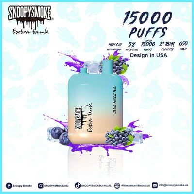 15000 bouffées de vapeur à la saveur de fruits Double batterie de 18 ml avec batterie rechargeable de type C de 650 mAh