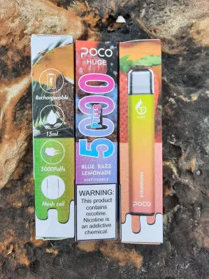 650mah peu énorme 5000 CBD disposable Vape Dispositif avec SUS304 Shell