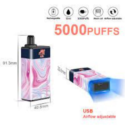 Souffles électroniques jetables fruités de la cigarette 15ml 5000 de SUS304 Vape