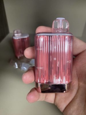 Souffles Mesh Coil Disposable Vape 950mah d'OEM Te5000 13.5ml 5000