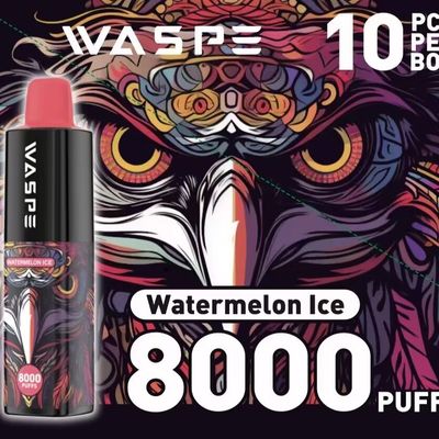 8000Puffs stylo électronique jetable avec port de charge de type C sans