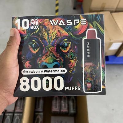 8000Puffs stylo électronique jetable avec port de charge de type C sans