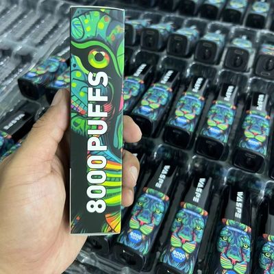 8000Puffs stylo électronique jetable avec port de charge de type C sans
