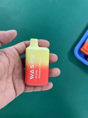 Waspe 5000 PUFFS Vapor rechargeable jetable 13 ml de jus pré-rempli