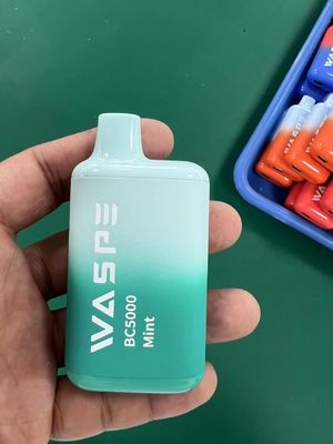 Waspe 5000 PUFFS Vapor rechargeable jetable 13 ml de jus pré-rempli