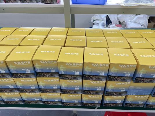 Eb Bc5000 Vape Mesh rechargeable bobine 5000 bouffées 5% capsule jetable