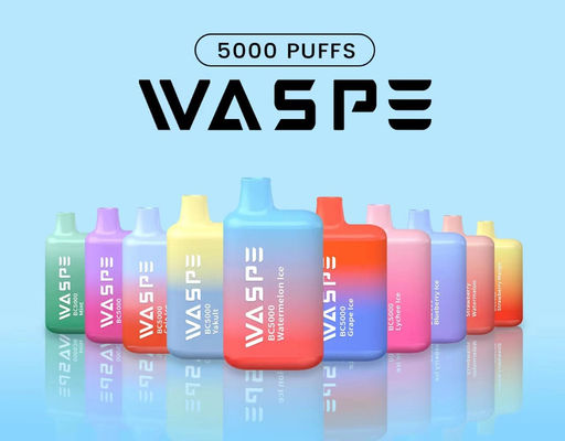 Waspe 5000 PUFFS Vapor rechargeable jetable 13 ml de jus pré-rempli