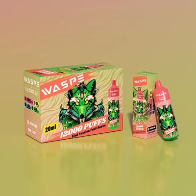 Modèle 12000 de la Vespère Non Vespère 12000 de 650 mAh Type C Rechargeable