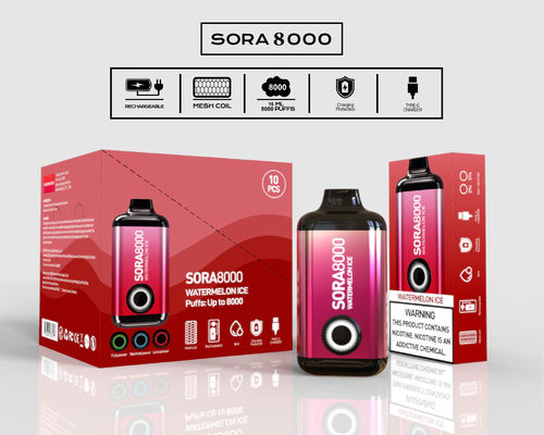 Sora 8000 650 mAh type-C rechargeable Vape Pen jetable 14 ml 650 mAh