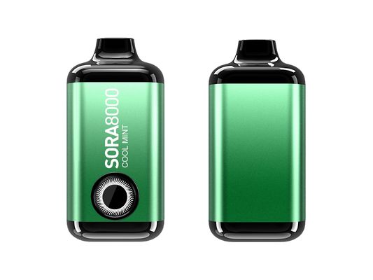 16 saveurs 75g de vapoteur à vapeur avec port de charge de type C