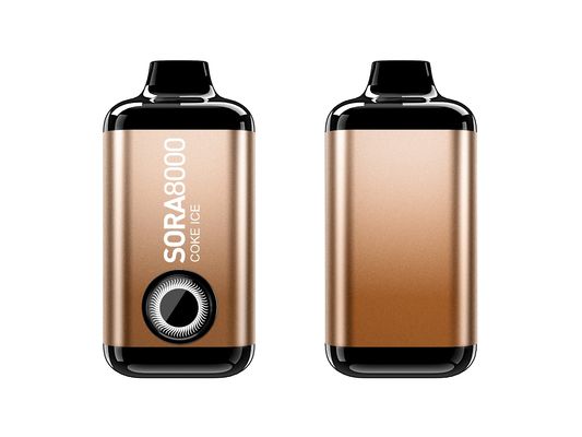 16 saveurs 75g de vapoteur à vapeur avec port de charge de type C