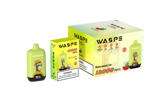 Un stylo de vapotage jetable pratique avec une technologie à bobine de pâte