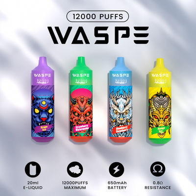 Waspe 12000Puffs 20 ML E-liquide stylo à vapotage jetable avec chargeur de type C
