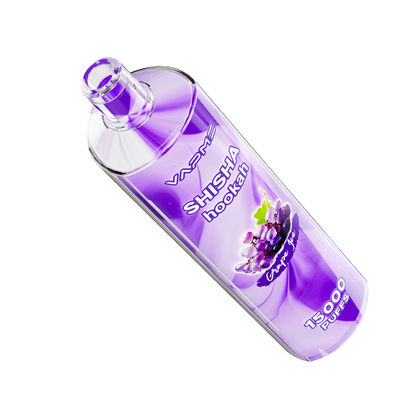 24 saveurs fruitées de type C Port de charge Grand kit de vapotage Puff SUS304 0%/2% Nic batterie de 650 mAh