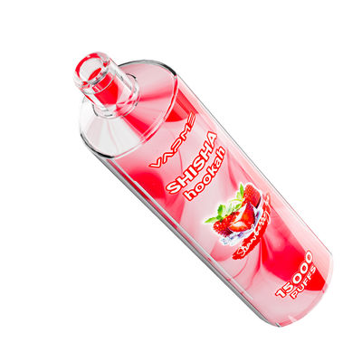 15000 puffs Arômes fruités Vape Type C Port de charge 25 ml Capacité de jus SUS304