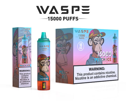 Capacité de jus de 22 ml Vape à gros bouffées avec batterie de 650 mAh et résistance de 0,8 ohm 15000 bouffées