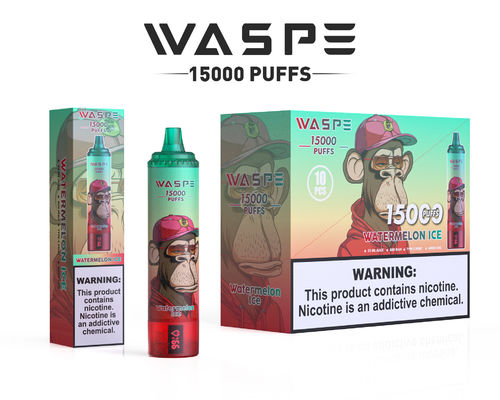 650mAh Big Puff Vape avec 22 ml de jus 2% 5% de nicotine Niveaux 12 saveurs fruitées Couleur conçue OEM