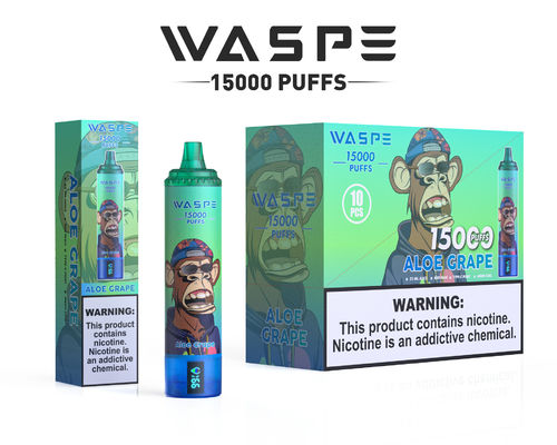 Vape personnalisé de 22 ml SUS304 avec 12 saveurs fruitées 15000 puff capacité de charge type C