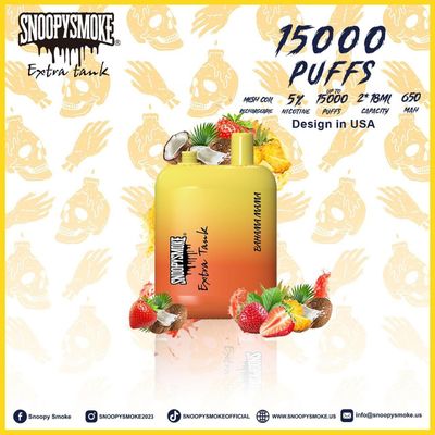 15000 bouffées de vapeur à la saveur de fruits Double batterie de 18 ml avec batterie rechargeable de type C de 650 mAh