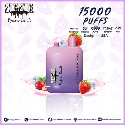 15000 bouffées de vapeur à la saveur de fruits Double batterie de 18 ml avec batterie rechargeable de type C de 650 mAh