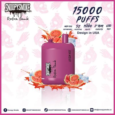 Batterie Double réservoir avec fruits Falvors 1,2 ohm Maillage bobine type C batterie rechargeable