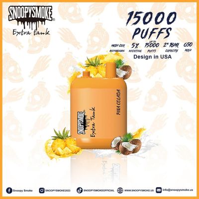 Kit de vapotage à double réservoir avec batterie rechargeable de type C - 15000 bouffées - 18 ml de liquide E
