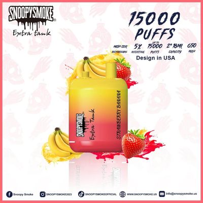 Double18mL E Liquide pré-rempli à 5% de nicotine avec batterie rechargeable de type C
