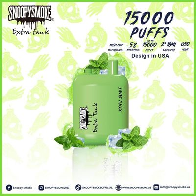 Kit de batterie rechargeable de type C Double réservoir 1,2 ohm 650mAh