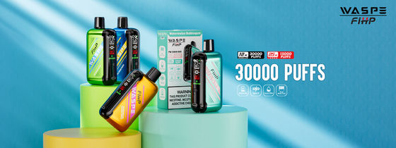 Type-C Chargement de 1 ohm Vape à bobine à double maille avec des performances durables et 15000 bouffées