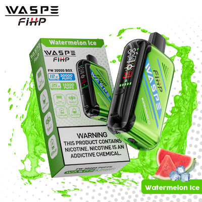 Cigarette électronique rechargeable avec bobine à double maille et taille 61*31*121mm