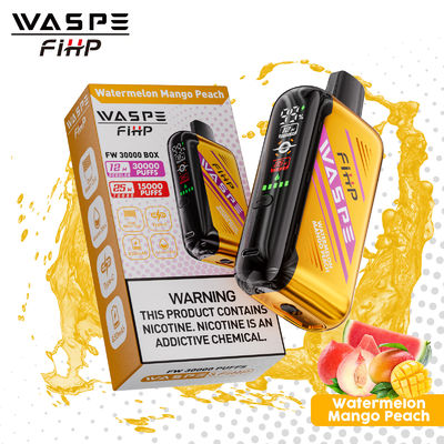 Cigarette électronique rechargeable avec bobine à double maille et taille 61*31*121mm